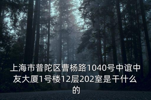 上海市普陀區(qū)曹楊路1040號中誼中友大廈1號樓12層202室是干什么 的