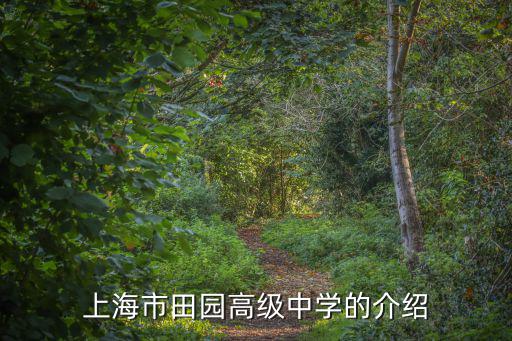 上海市田園高級中學(xué)的介紹