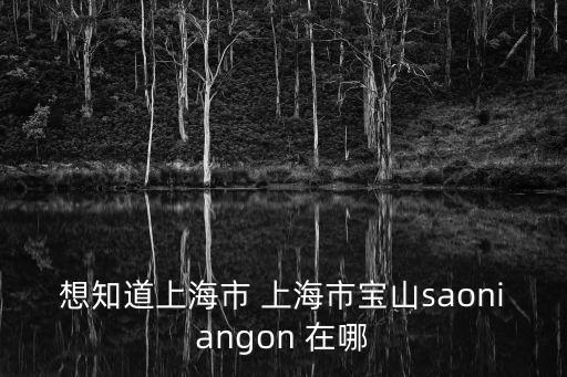 想知道上海市 上海市寶山saoniangon 在哪
