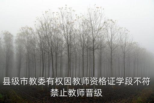 縣級市教委有權因教師資格證學段不符禁止教師晉級