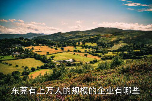 東莞有上萬人的規模的企業有哪些