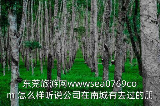 東莞旅游網wwwsea0769com 怎么樣聽說公司在南城有去過的朋