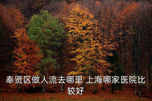 上海市奉賢區(qū)哪個(gè)醫(yī)院做人流好，奉賢區(qū)做人流去哪里 上海哪家醫(yī)院比較好