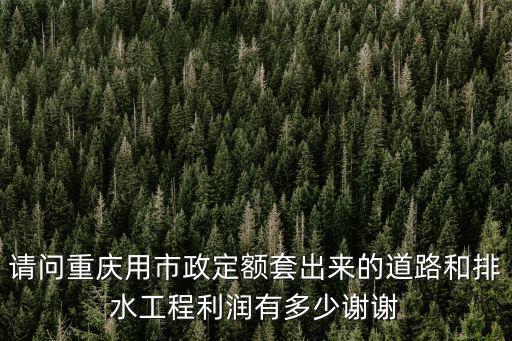 請問重慶用市政定額套出來的道路和排水工程利潤有多少謝謝