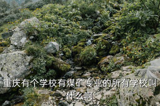 重慶有個(gè)學(xué)校有煤礦專(zhuān)業(yè)的所有學(xué)校叫什么啊