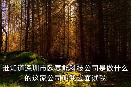 深圳歐能科技，深圳歐醇化國際新能源科技有限公司主要經營什么