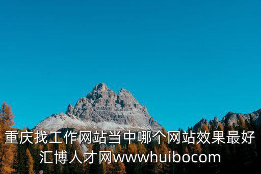 重慶找工作網站當中哪個網站效果最好匯博人才網wwwhuibocom