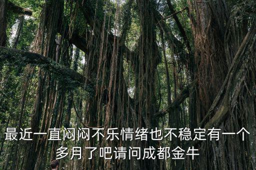 最近一直悶悶不樂情緒也不穩定有一個多月了吧請問成都金牛