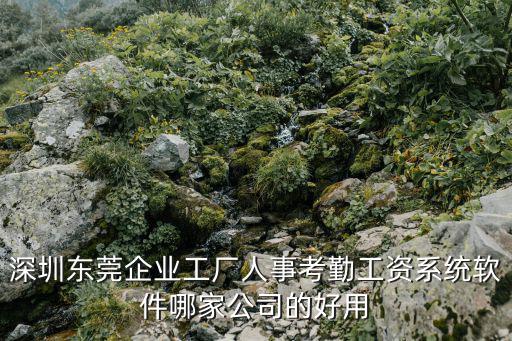 深圳東莞企業工廠人事考勤工資系統軟件哪家公司的好用
