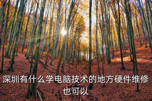 深圳有什么學電腦技術的地方硬件維修也可以