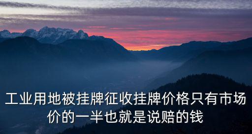 工業用地被掛牌征收掛牌價格只有市場價的一半也就是說賠的錢