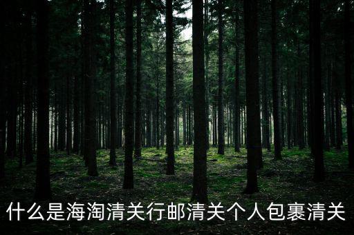 什么是海淘清關行郵清關個人包裹清關
