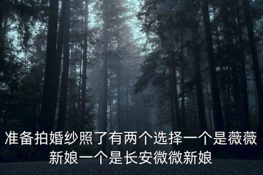 東莞長安薇薇新娘，東莞薇薇新娘開多久了