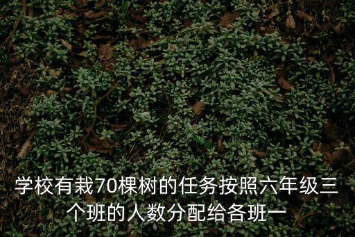 學校有栽70棵樹的任務按照六年級三個班的人數分配給各班一