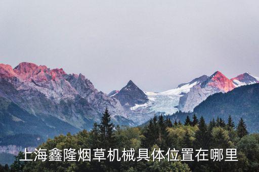 上海鑫隆煙草機械具體位置在哪里