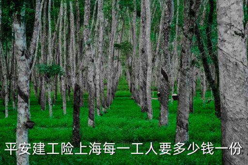 上海市工程保險費，上海工程師最低工資標準及社保繳費是多少