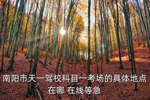南陽市天一駕?？颇恳豢紙龅木唧w地點在哪 在線等急