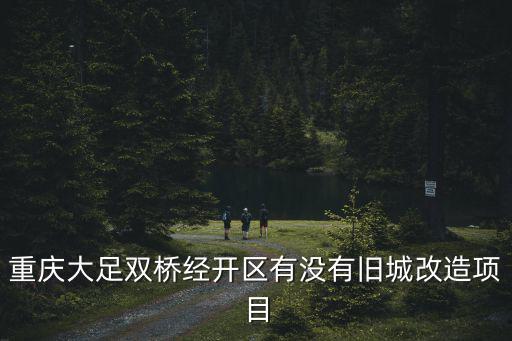 重慶市大足雙橋規劃圖，重慶大足雙橋經開區有沒有舊城改造項目