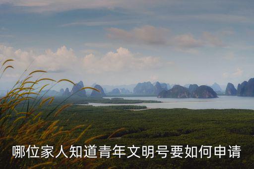 哪位家人知道青年文明號要如何申請