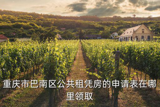 重慶市巴南區公共租憑房的申請表在哪里領取