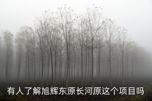 重慶市大渡口旭輝東原長(zhǎng)河，有人了解旭輝東原長(zhǎng)河原這個(gè)項(xiàng)目嗎