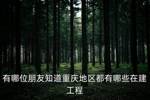 有哪位朋友知道重慶地區(qū)都有哪些在建工程