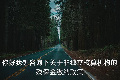 你好我想咨詢下關于非獨立核算機構的殘保金繳納政策