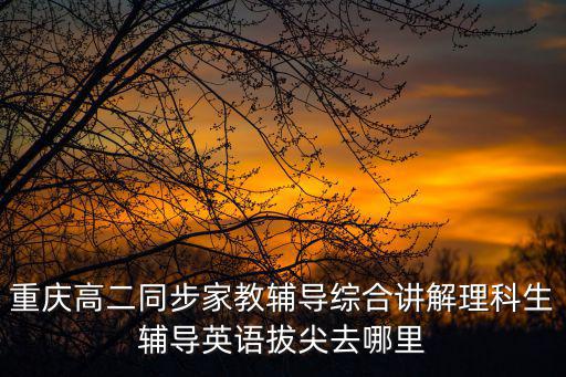 重慶市教育學會鐘燕，重慶高二同步家教輔導綜合講解理科生輔導英語拔尖去哪里