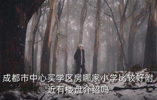 成都市中心買學區房哪家小學比較好附近有樓盤介紹嗎