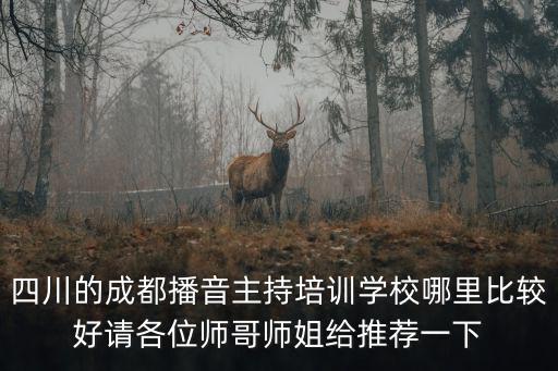 成都市文廣新，急需專業的配音團隊成都有哪些好的配音公司比較有名謝謝  搜