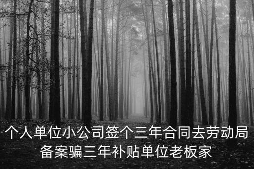 個人單位小公司簽個三年合同去勞動局備案騙三年補貼單位老板家