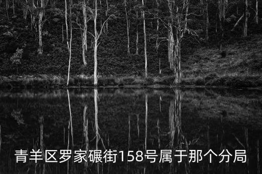 青羊區羅家碾街158號屬于那個分局