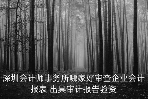 深圳會計師事務所哪家好審查企業會計報表 出具審計報告驗資