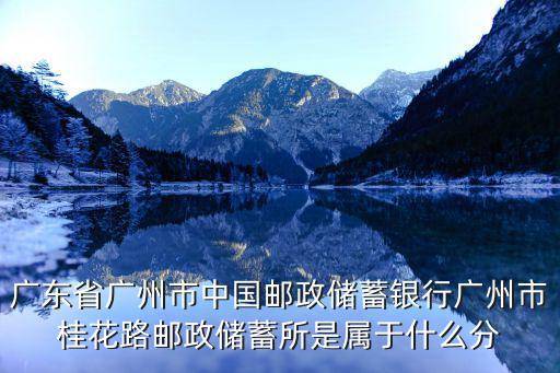 廣東省廣州市中國郵政儲蓄銀行廣州市桂花路郵政儲蓄所是屬于什么分