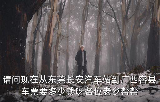 東莞長安早上回容縣，東莞到容縣幾點(diǎn)鐘有車回