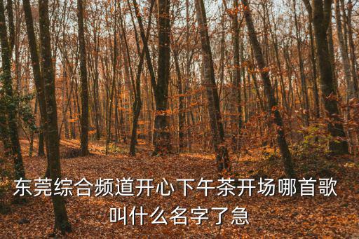 東莞綜合頻道開心下午茶開場哪首歌 叫什么名字了急