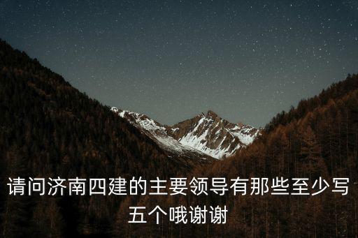 上海市四建集團(tuán)領(lǐng)導(dǎo)，上海市第四建筑有限公司 是事業(yè)單位么