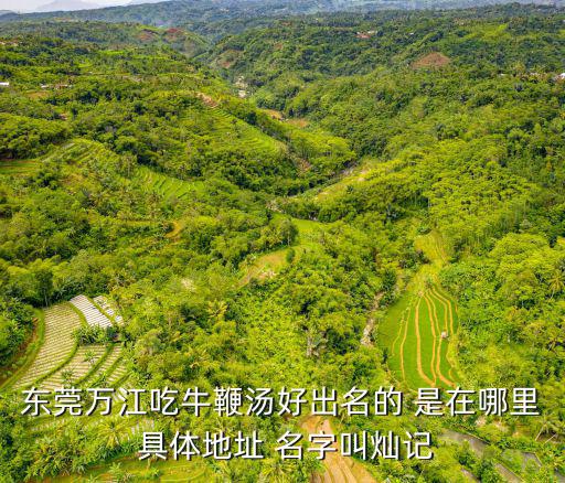 東莞萬江吃牛鞭湯好出名的 是在哪里 具體地址 名字叫燦記