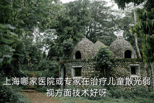 上海哪家醫(yī)院或?qū)＜以谥委焹和⒐馊跻暦矫婕夹g(shù)好呀
