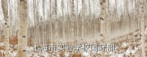 上海市實驗學校國際部