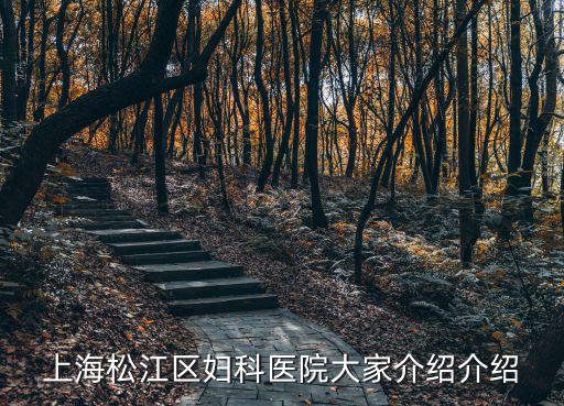 上海松江區婦科醫院大家介紹介紹