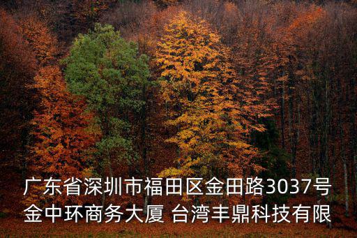 廣東省深圳市福田區金田路3037號金中環商務大廈 臺灣豐鼎科技有限