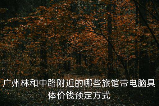 廣州林和中路附近的哪些旅館帶電腦具體價錢預定方式