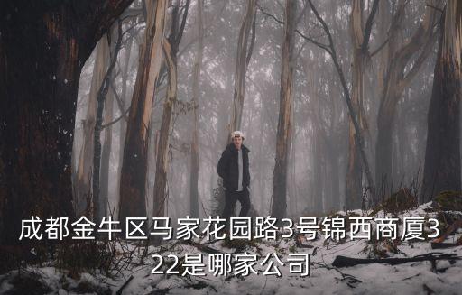成都市金牛區致遠玩具廠，成都金牛區馬家花園路3號錦西商廈322是哪家公司