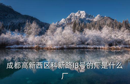 成都高新西區科新路I8號的廠是什么廠