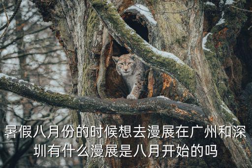 暑假八月份的時(shí)候想去漫展在廣州和深圳有什么漫展是八月開(kāi)始的嗎