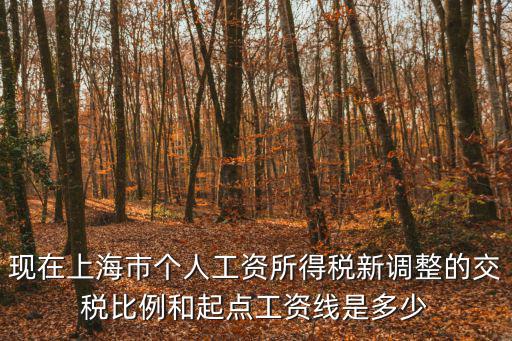 現在上海市個人工資所得稅新調整的交稅比例和起點工資線是多少