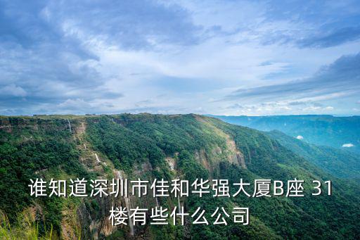 誰知道深圳市佳和華強大廈B座 31樓有些什么公司