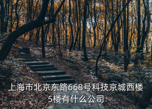 上海市北京東路668號科技京城西樓5樓有什么公司