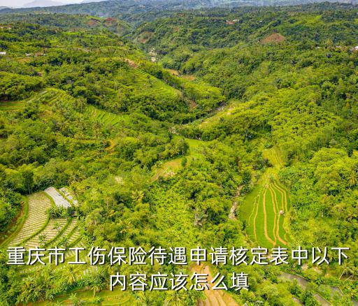 重慶市工傷保險(xiǎn)待遇申請(qǐng)核定表中以下內(nèi)容應(yīng)該怎么填
